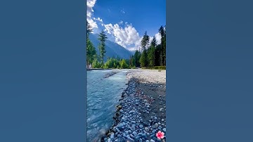 ومن يتقِ الله يجعل له مخرجا ويرزقه من حيث لا يحتسب} سورة الطلاق القارى: ماهر المعيقلي #quran #islam