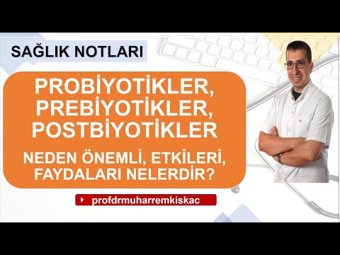 Probiyotik, Prebiyotik, Probiyotikler ne işe yarar