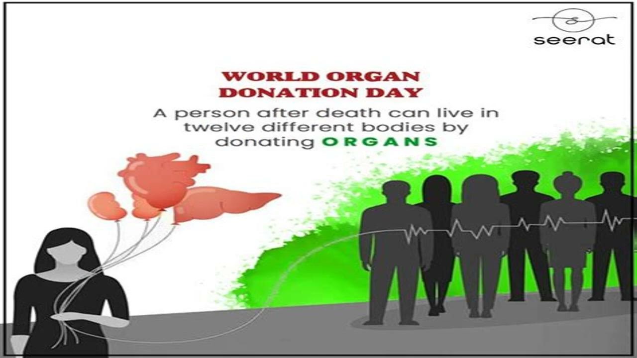World Organ Donation Day 2025 What organs can a person donate and what is the process Check here