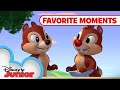 Nutty Tales Compilation Favorite Moments | Chip 