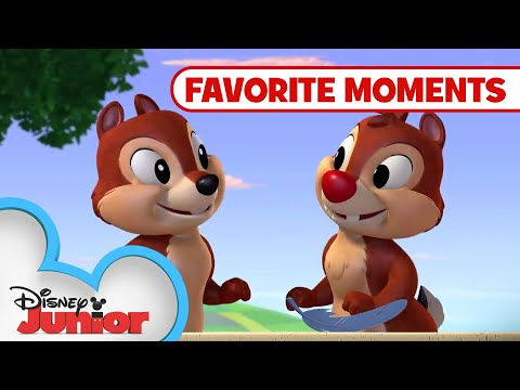 Nutty Tales Compilation! Part 2 | Chip 'N Dale's Nutty Tales | Disney Junior