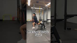 RFE Single OC Split Squat