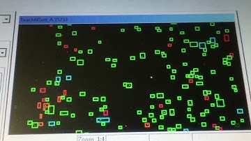 Armbruster GrapeSort Optical Sorter for Grape Processing