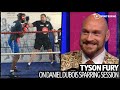 Bizarre story of what happened when Tyson Fury sparred Daniel Dubois weighing 26 stone