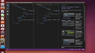 Microsoft Visual Studio Code in Ubuntu Linux