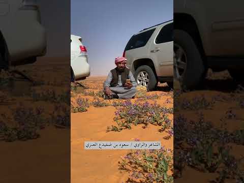 قصيده الشاعر والراوي سعود ضفيدع الجعفري العنزي يسند بها الى حفيده سعود صالح