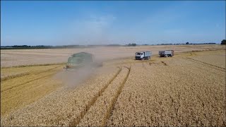 Уборка озимой Пшеницы / Ziemas Kviešu kulšana / Wheat Harvest 2022
