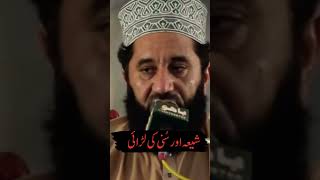 Shia Sunni Larai Peer Syed Faiz Ul Hassan Shah #syedfaizulhassanshah #shia #shiasunni #shortvideo