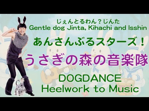 Dogdance / K9freestyle / HTM 「うさぎの森の音楽会(Concert in the Rabbit Forest)」 あんさんぶるスターズ!(Ensemble Stars!)