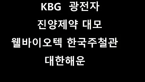 구독자종목분석-KBG 광전자 진양제약 대모 웰바이오텍 한국주철관 대한해운