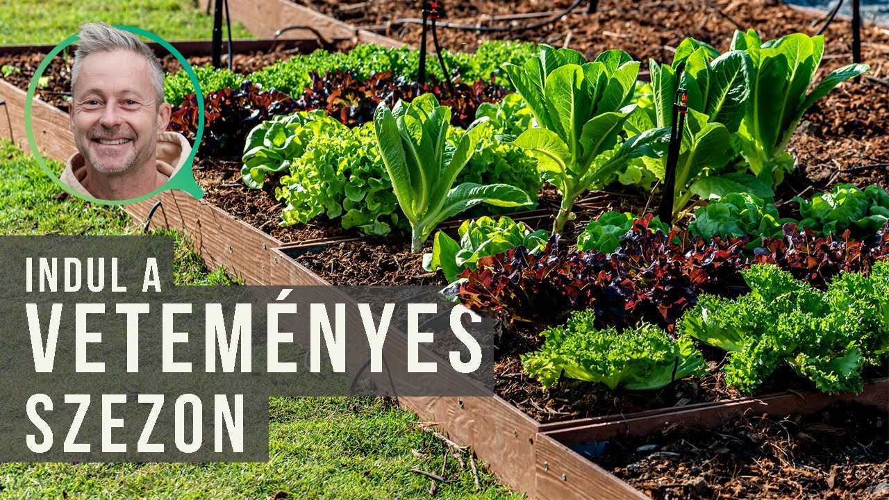 Itt a tavasz, vessünk magot! | kert TV
