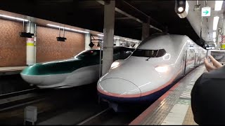上越新幹線E4系幹ニシP82編成 サンキューMaxとき436号東京行き上野駅発車シーン