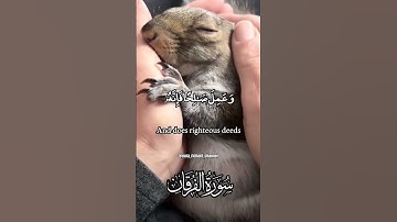 #قران_كريم #قرآن #القرآن_الكريم #قرآن_كريم #القرآن coran #quran# #جمعة_مباركة #الجمعة #سورة #جمعه