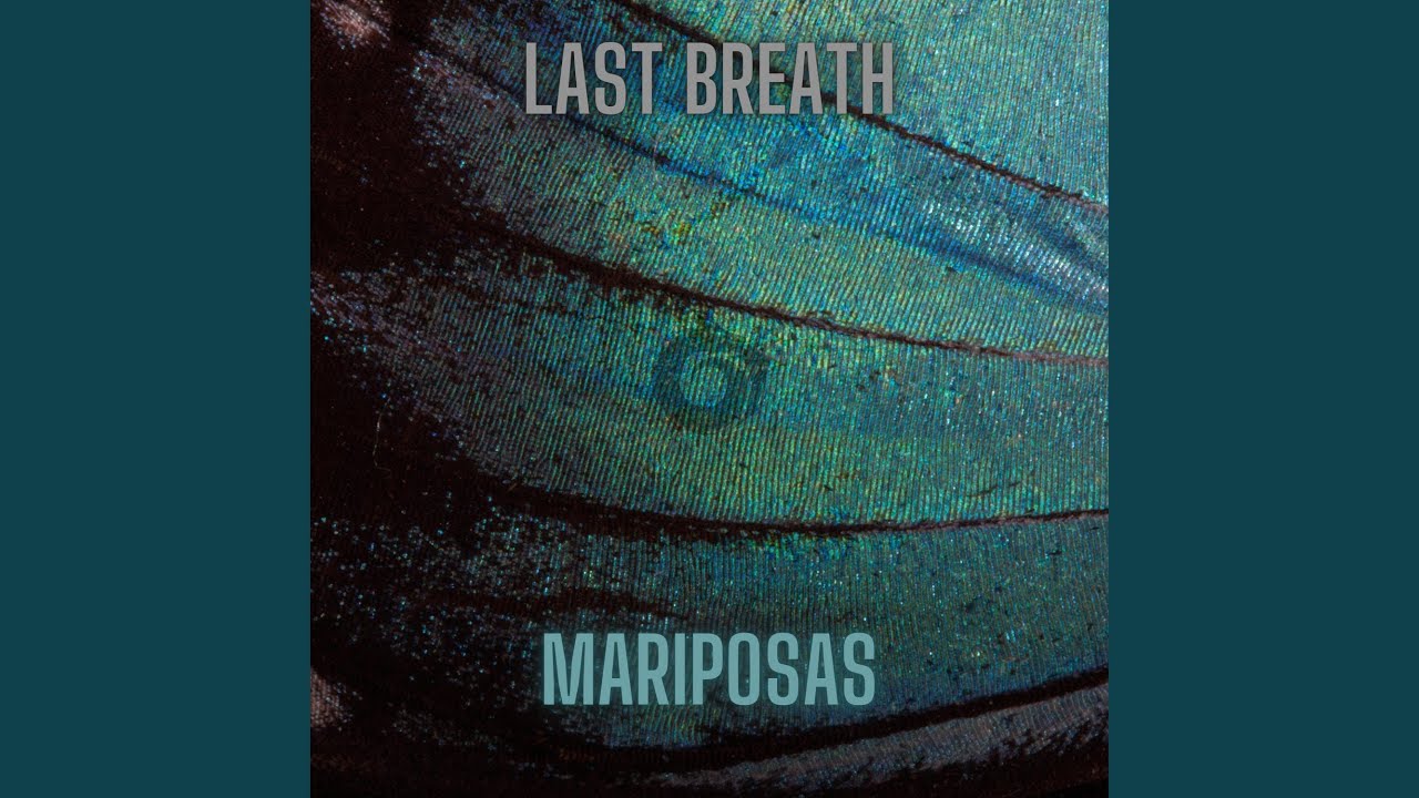 YouTubeでThanks For The Butterfliesを視聴 YouTubeでThanks For The Butterfliesを視聴