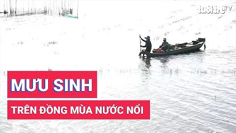 Mưu sinh trên đồng mùa nước nổi