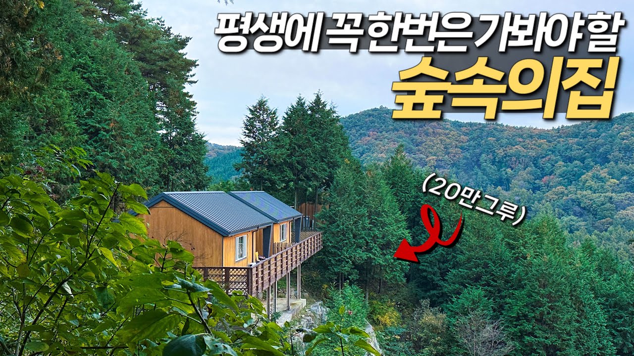 20만 그루의 편백나무에 둘러 쌓인 아름다운 숲속의 집 | 자연휴양림 | 국내여행 | 경남 하동