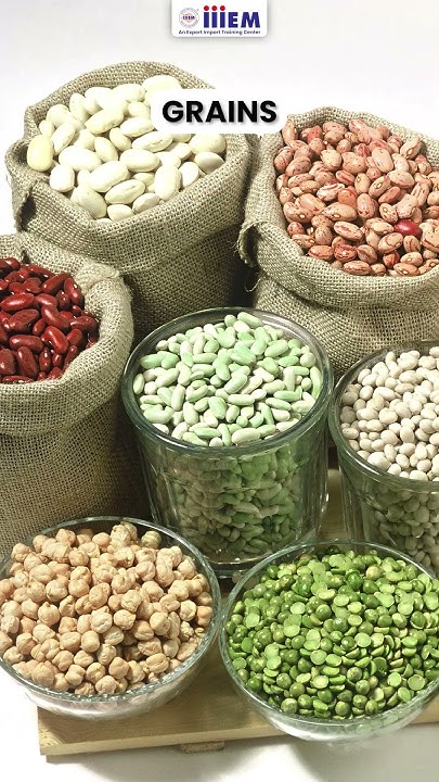 what-does-india-export-to-indonesia-learn-export-import-business