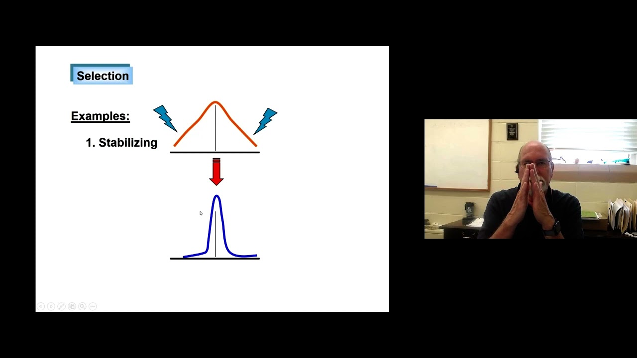 GG   Population Genetics Part 6