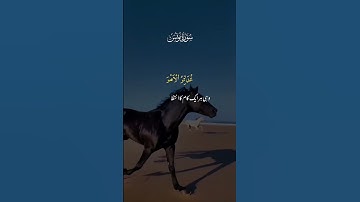 Surah Yunus Short | سورة يونس تلاوة قصيرة جميلة |ShortFeed