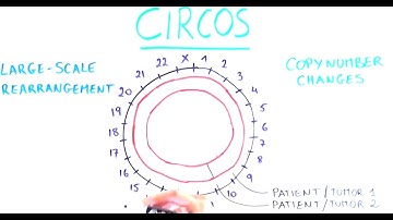Our genome in a circle