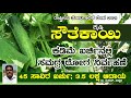 ಸೌತೆಕಾಯಿ ಬೆಳೆ ರೋಗಕ್ಕೆ ಸರಳ ಮದ್ದು | Cocumber | ICAR IIHR National Horticulture Fair 2021 | Dr Mahesh