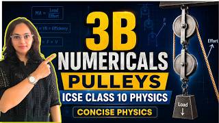 ICSE Class 10 Physics | Machines Exercise 3B | Pulley Numericals | Concise Physics