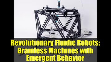 Revolutionary Fluidic Robots: Brainless Machines with Emergent Behavior | Future of Robotics