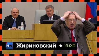 Жириновский про правительство  16.01.2020