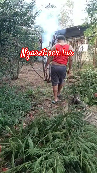 #dangdutkoplo #dangdut #storywa #ngaret #blitar #hiburan