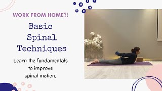 Day 17 - Create Space | Yoga class for Spinal cord ~ Work From Home Yoga session