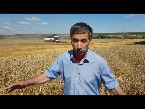 В.Д.Козлов КФХ из с.Тагай Майнского района: о хозяйстве, жизни, хлебе В.Д.Козлов КФХ из с.Тагай Майнского района: о хозяйстве, жизни, хлебе