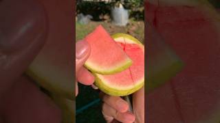 Guava without seeds #jamubiji #jam