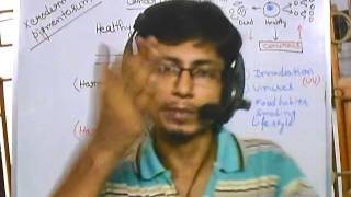 Cancer biology part 3 causes of cancer Cancer biology part 3 causes of cancer