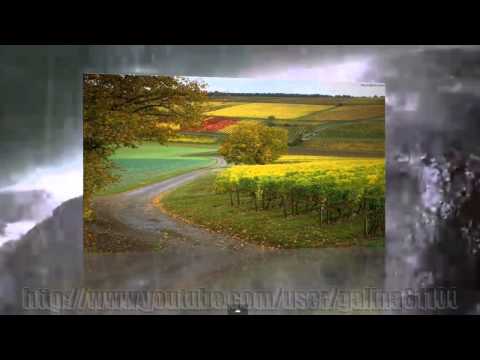 Осень! Золотая Осень! AUTUMN! GOLDEN AUTUMN!Творчество это СЧАСТЬЕ!