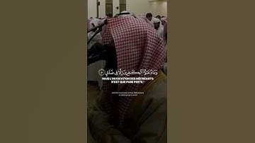 {وما دعاؤا الكافرين إلا في ضلال}سورة غافر عندما يبدع الشيخ محمد اللحيدان❤️