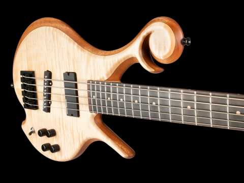 5-string-bass---two-hand-tapping-with-delay---xylem-basses