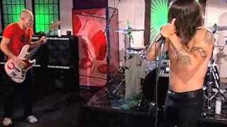 Red Hot Chili Peppers Tell Me Baby AOL Sessions 2006 Resimi