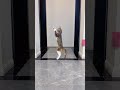 Playing cat #funny #funnycats #funnyvideo #funnyshorts