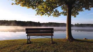 Beautiful River Bank and Bench - Timelapse - No Copyright Video - Free Stock Footage