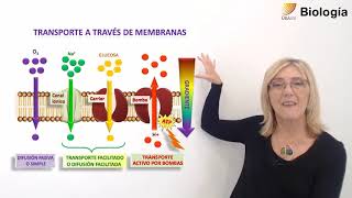 16- Biología. Membranas biológicas
