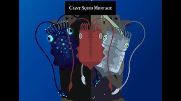 Deeeep.io Giant Squid Montage