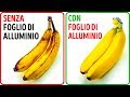 Come Mantenere Frutta e Verdura Fresca più a Lungo