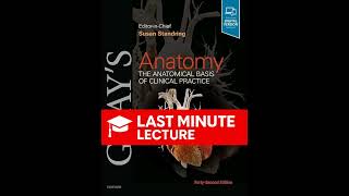 Chest Wall & Breast Anatomy | Chapter 53 – Gray’s Anatomy (42nd)