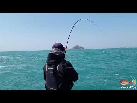 빠른 조류 속에서 원줄까지 가지고 가는 입질!! (fishing)