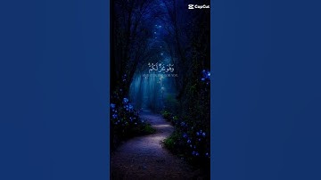 راحه نفسيه من القرآن الكريم 🤍🤍 #راحة_نفسية # قرآن كريم #لايك #اكسبلور