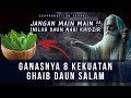 Jangan main main dengan 8 ganasnya  kekuatan ghaib daun salam