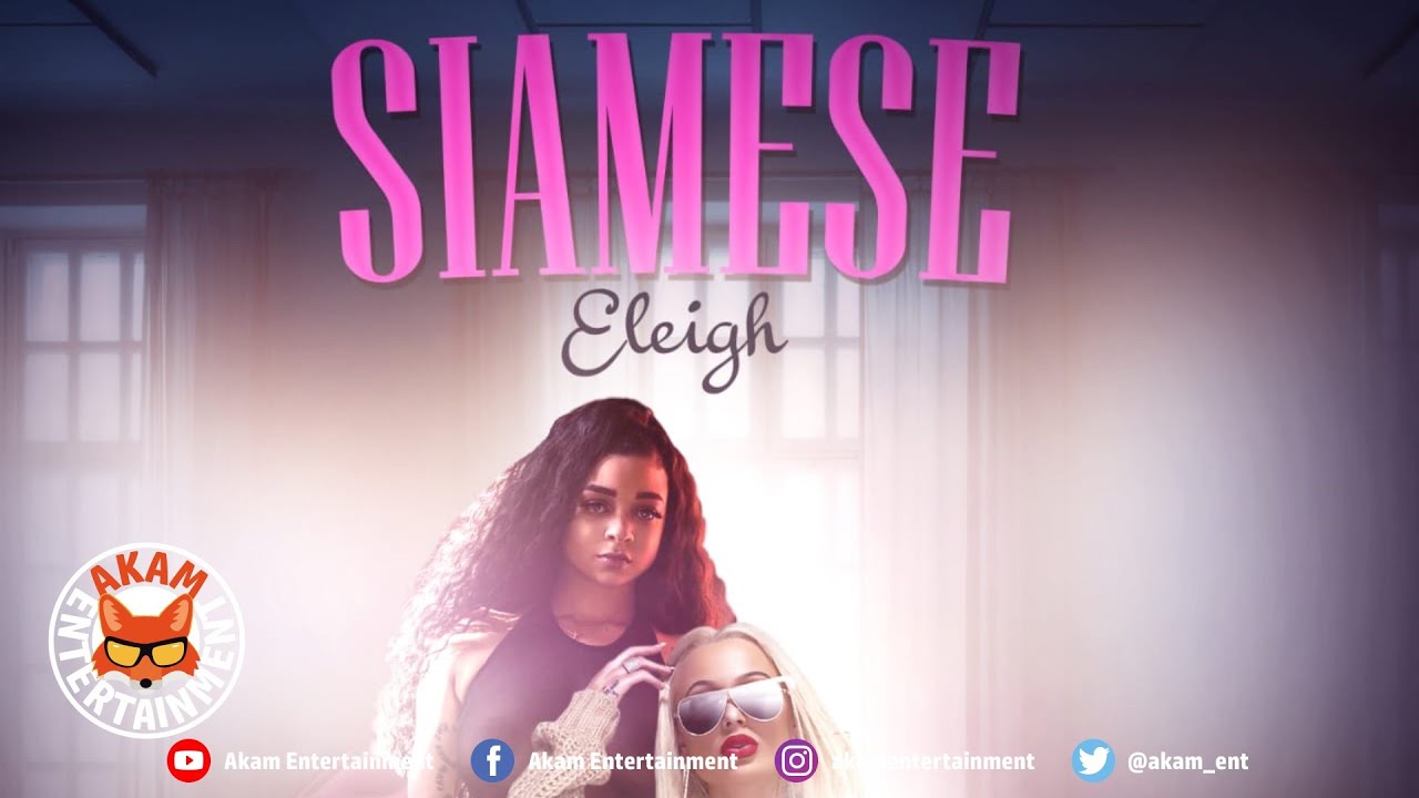 Ver Eleigh - Siamese - February 2020 no YouTube Ver Eleigh - Siamese - February 2020 no YouTube