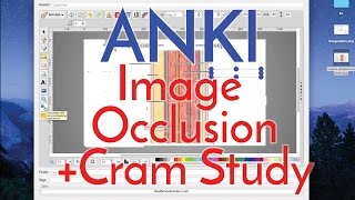 How to Use Anki Effectively - Image Occlusion 2.0 and Cram Studying [Part 2]