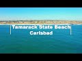 &quot;Discovering the Beauty and Serenity of Tamarack State Beach with Tammy Harvey&quot;