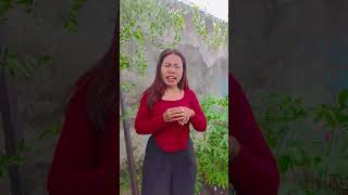 Kucing marah ikannya diambil